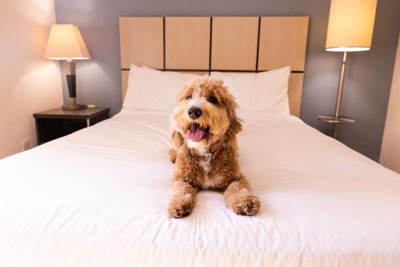 Sonesta Simply Suites Oklahoma City Airport Zewnętrze zdjęcie